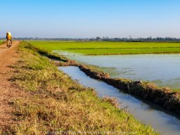 20190128_073651_900_